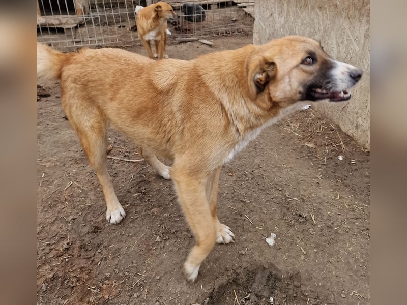 Rabea - freundlich und neugierig