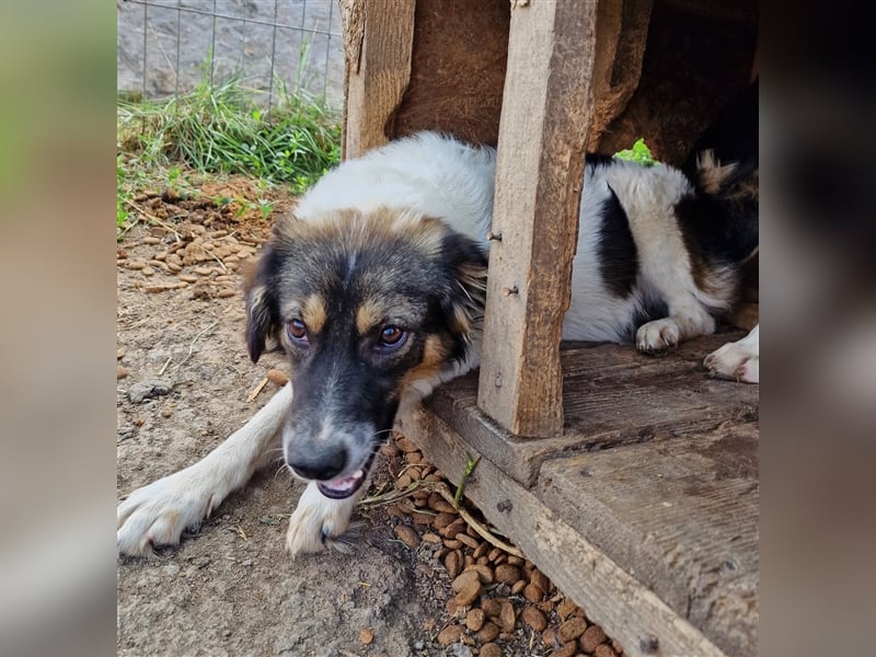 Gretchen - interessiert und neugierig