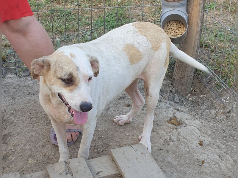 Marlene - aufgeschlossen und neugierig