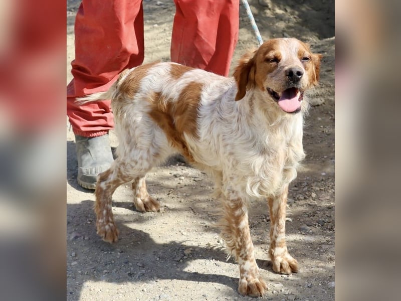 Aldo, menschenbezogen, klug und aufgeschlossen