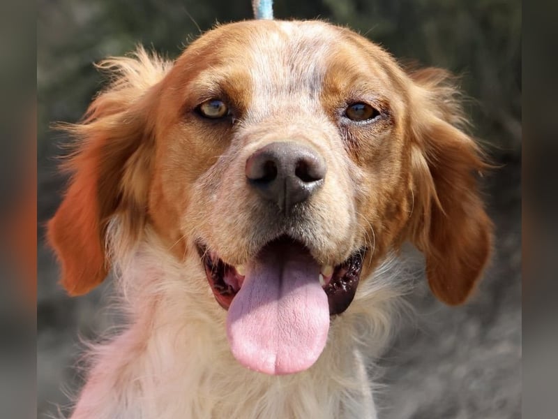 Aldo, menschenbezogen, klug und aufgeschlossen