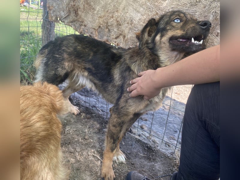 Azul - freundlich und interessiert