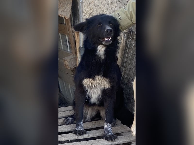 Cindy - freundlich und aufgeschlossen