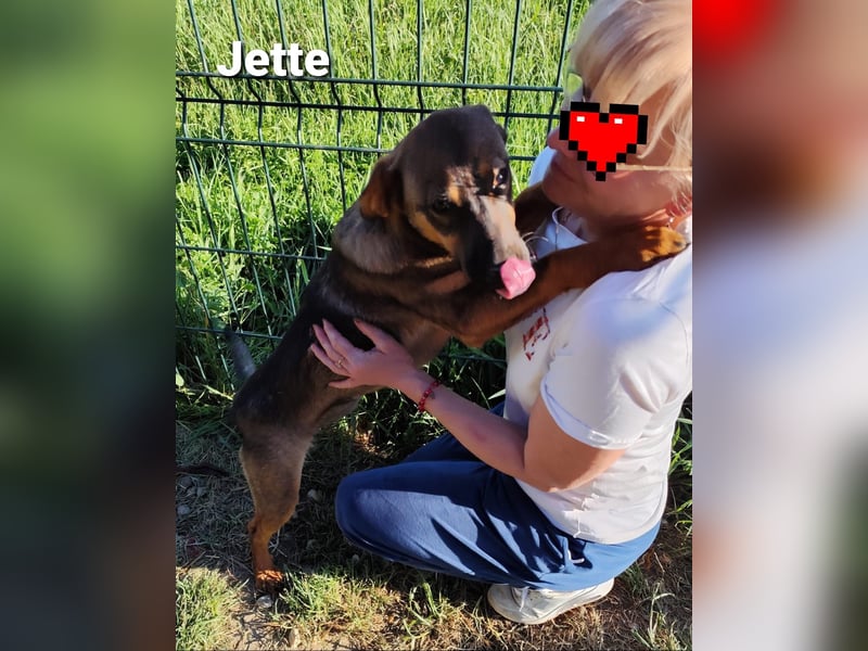 Jette, unser kleiner Juwel..