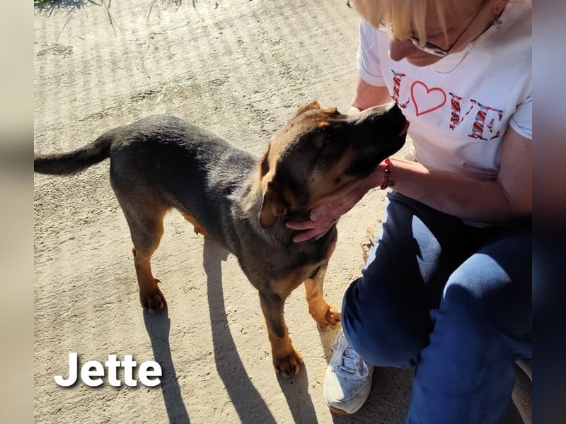 Jette, unser kleiner Juwel..