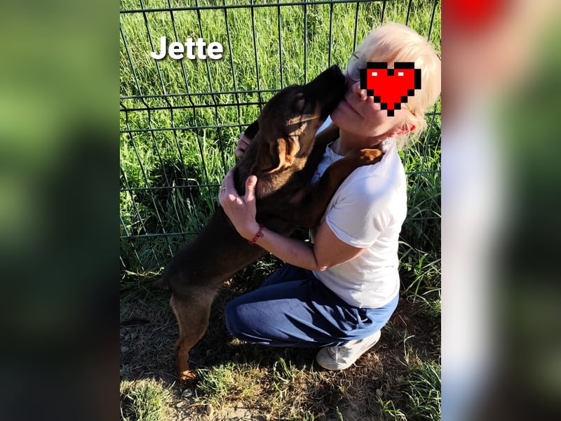 Jette, unser kleiner Juwel..