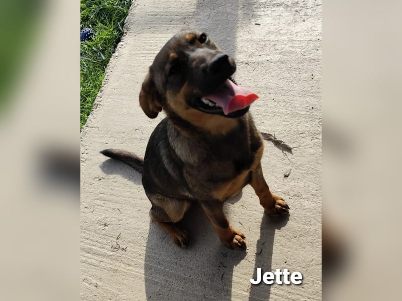 Jette, unser kleiner Juwel..
