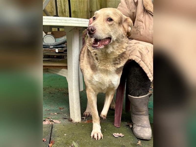 Hobo