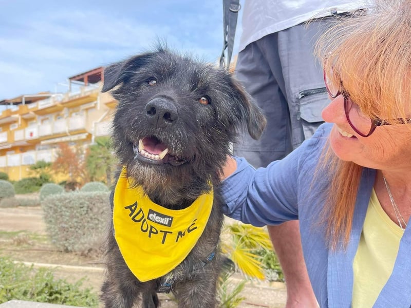 Wooly sucht SEINE Menschen!!