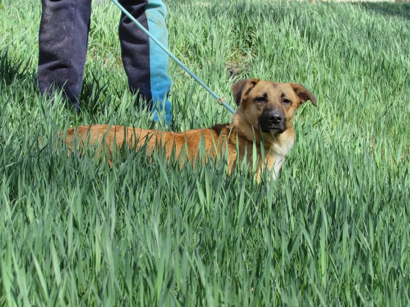 Havanna - sanfte Schönheit