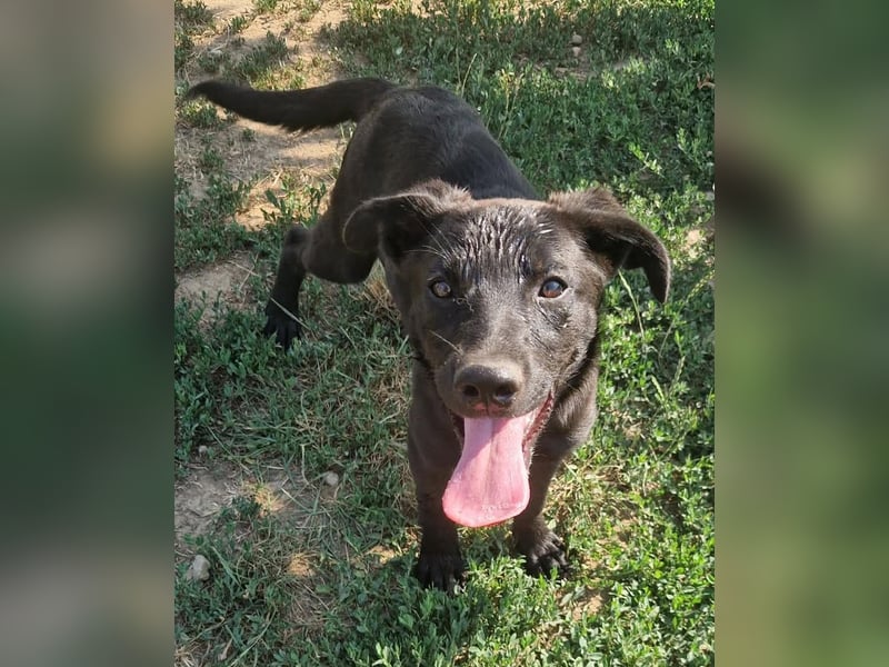 Luna