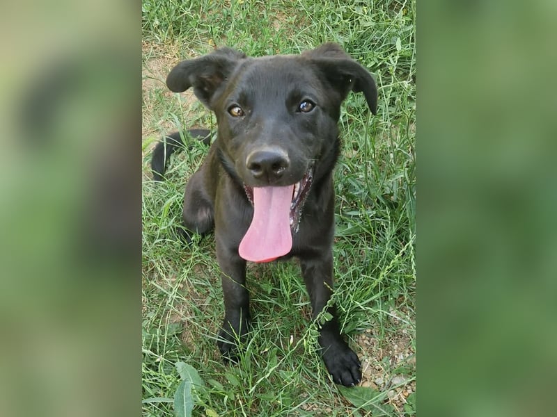 Luna