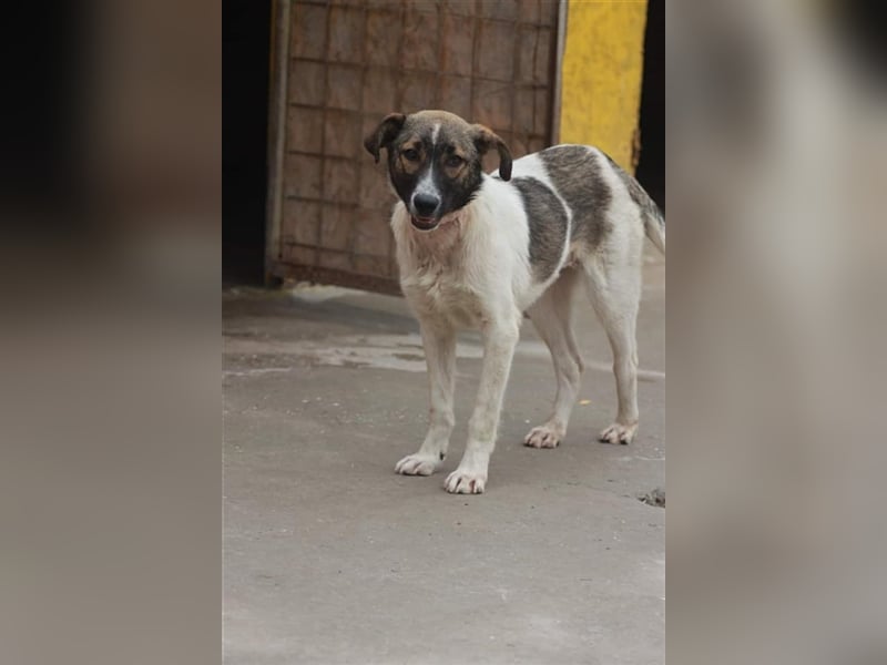 Bonnie und ...... DU!