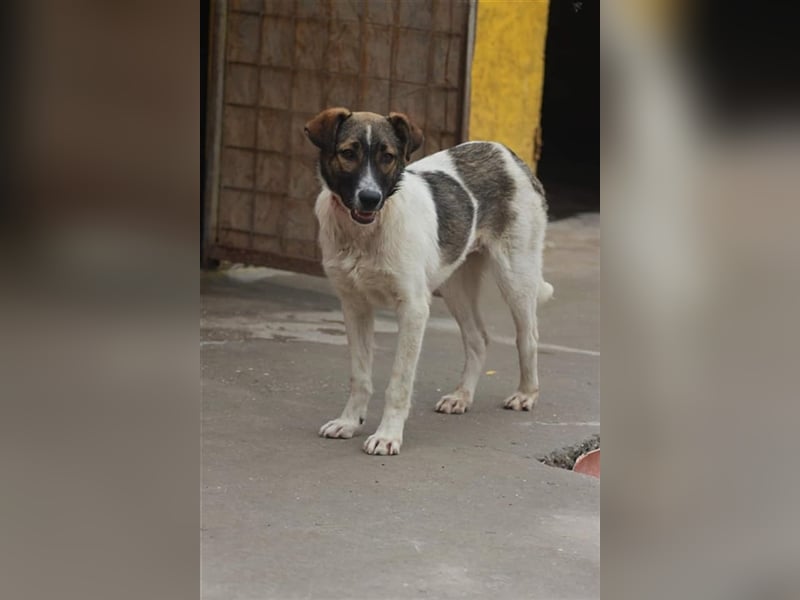 Bonnie und ...... DU!