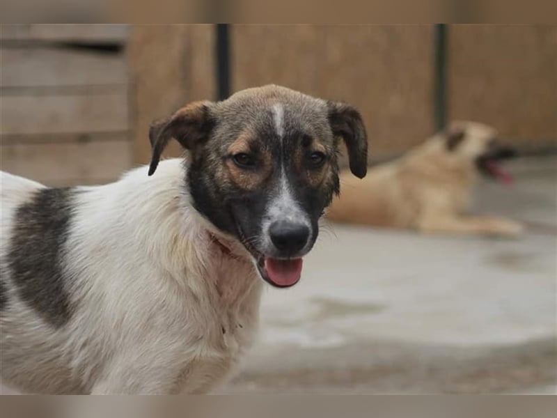 Bonnie und ...... DU!