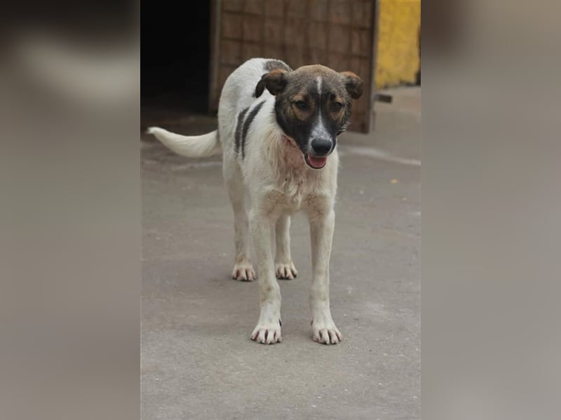 Bonnie und ...... DU!