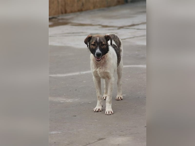 Bonnie und ...... DU!