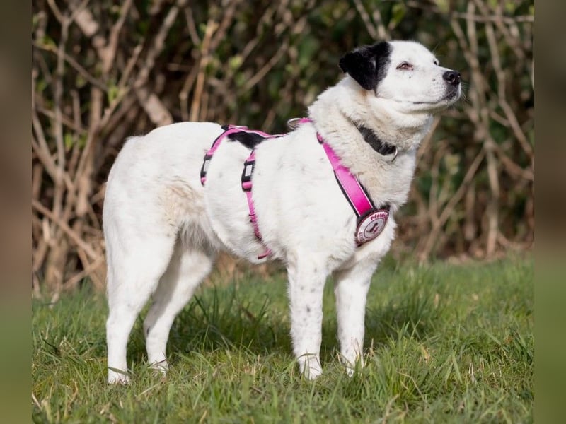 freundliche, liebe Seniorin CARLA