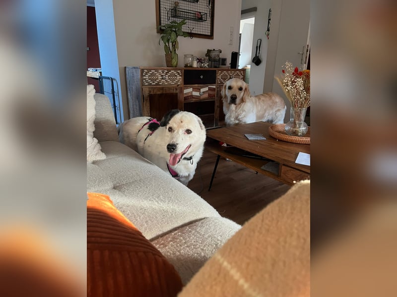 freundliche, liebe Seniorin CARLA