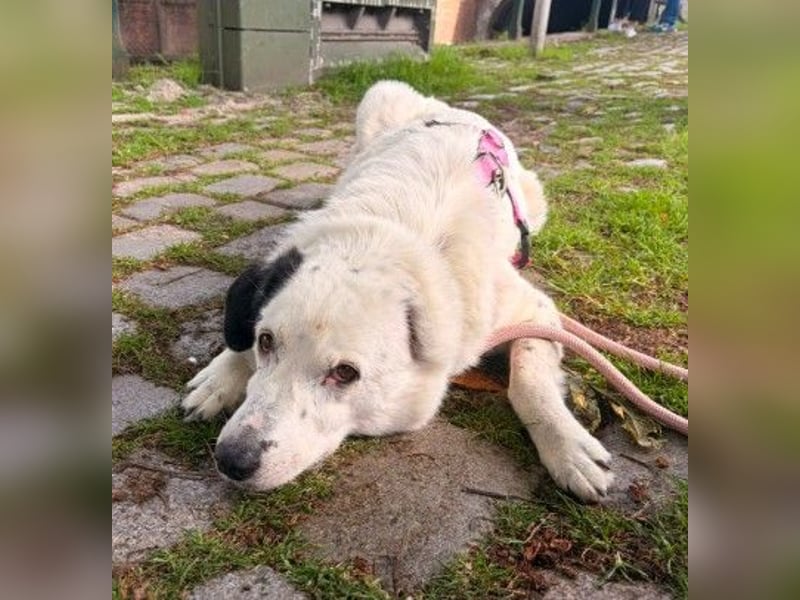 freundliche, liebe Seniorin CARLA