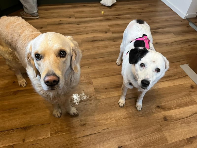 freundliche, liebe Seniorin CARLA