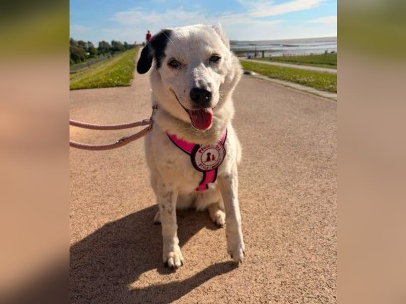 freundliche, liebe Seniorin CARLA