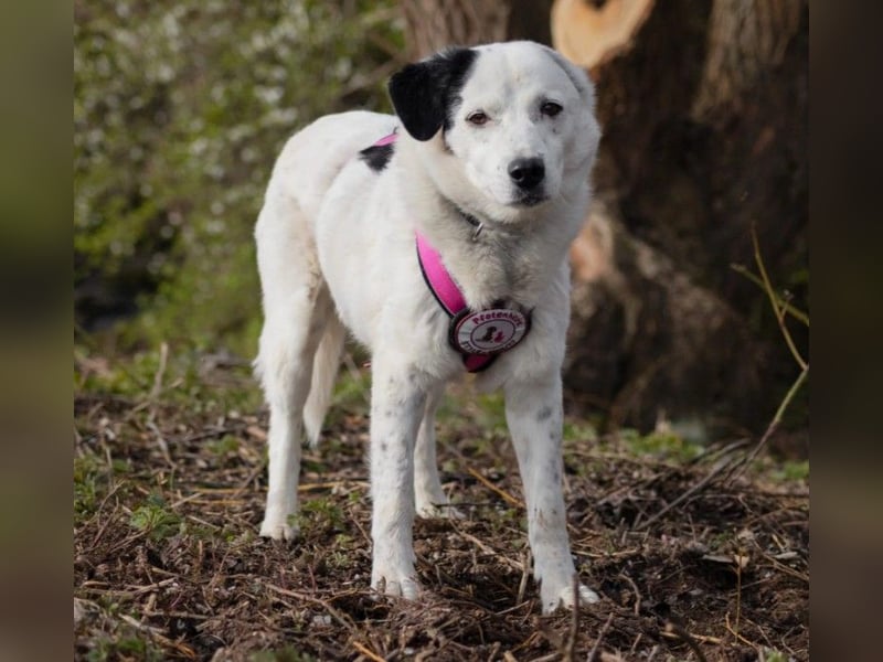 freundliche, liebe Seniorin CARLA