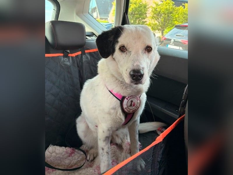 freundliche, liebe Seniorin CARLA