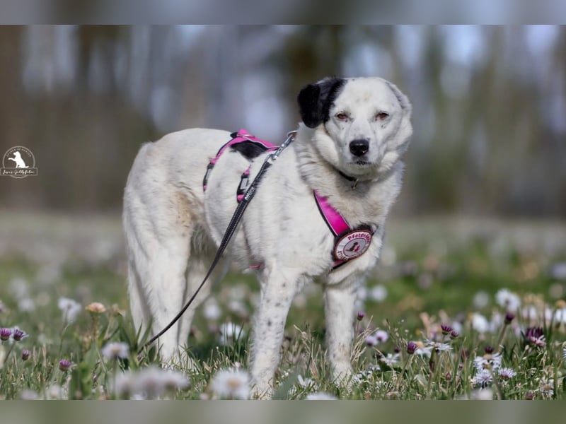 wundervolle Seniorin Carla