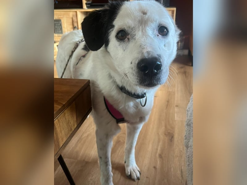 freundliche, liebe Seniorin CARLA