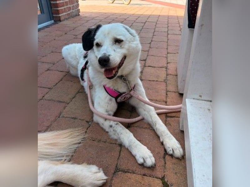 freundliche, liebe Seniorin CARLA