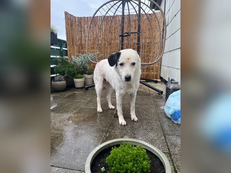 freundliche, liebe Seniorin CARLA