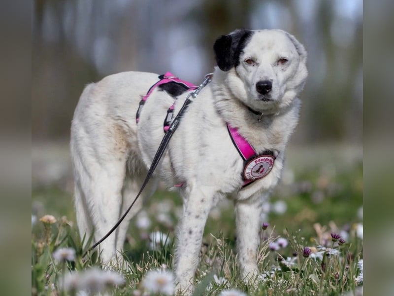 freundliche, liebe Seniorin CARLA