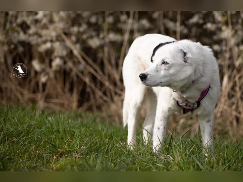 wundervolle Seniorin Carla
