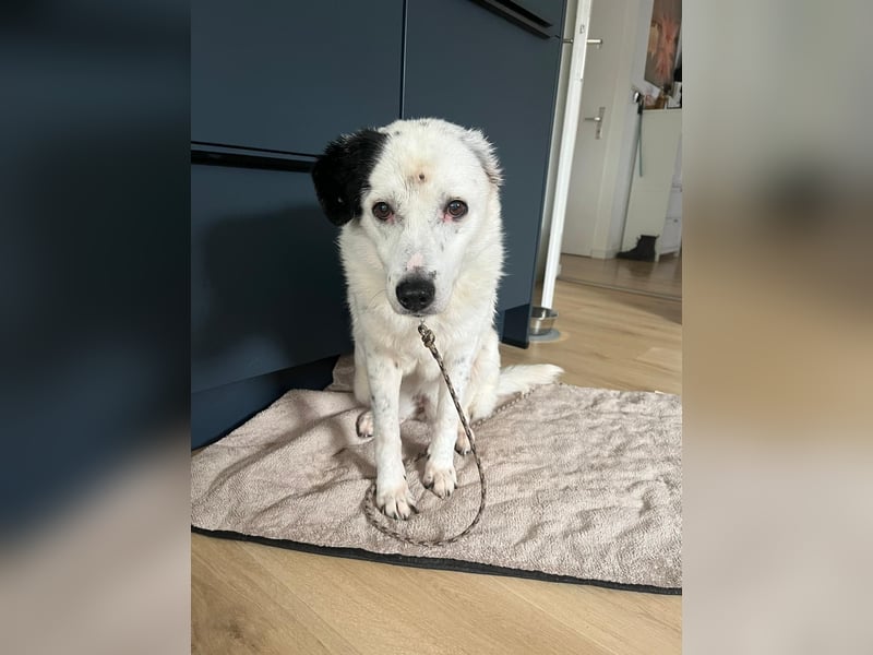 freundliche, liebe Seniorin CARLA