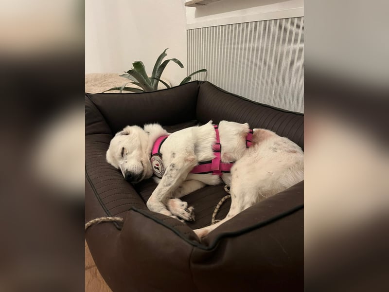 Seniorin CARLA wünscht sich ein Zuhause