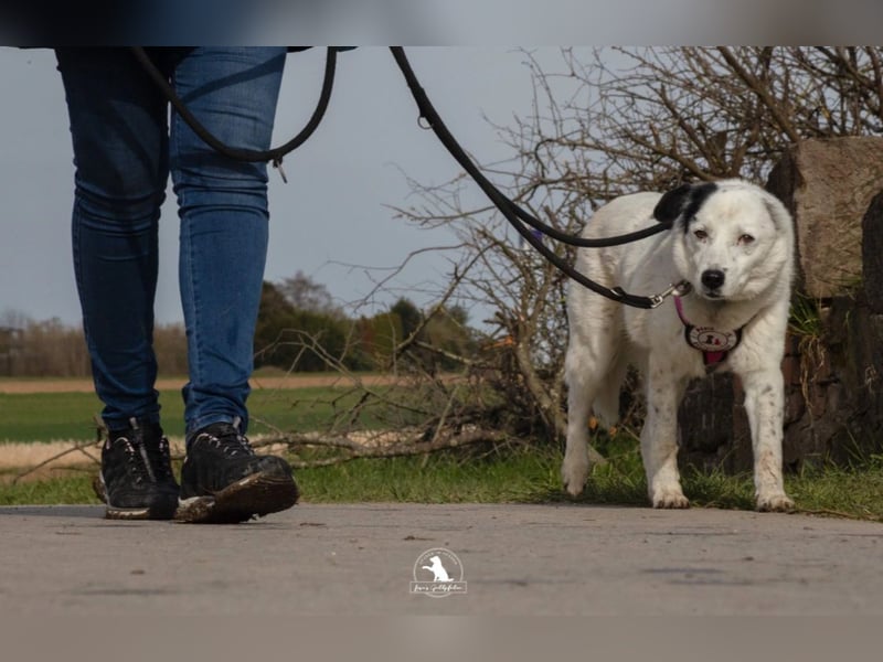 wundervolle Seniorin Carla