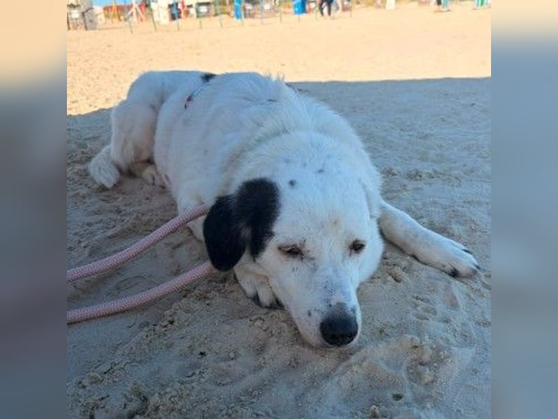 freundliche, liebe Seniorin CARLA