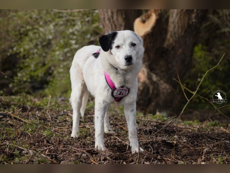 wundervolle Seniorin Carla