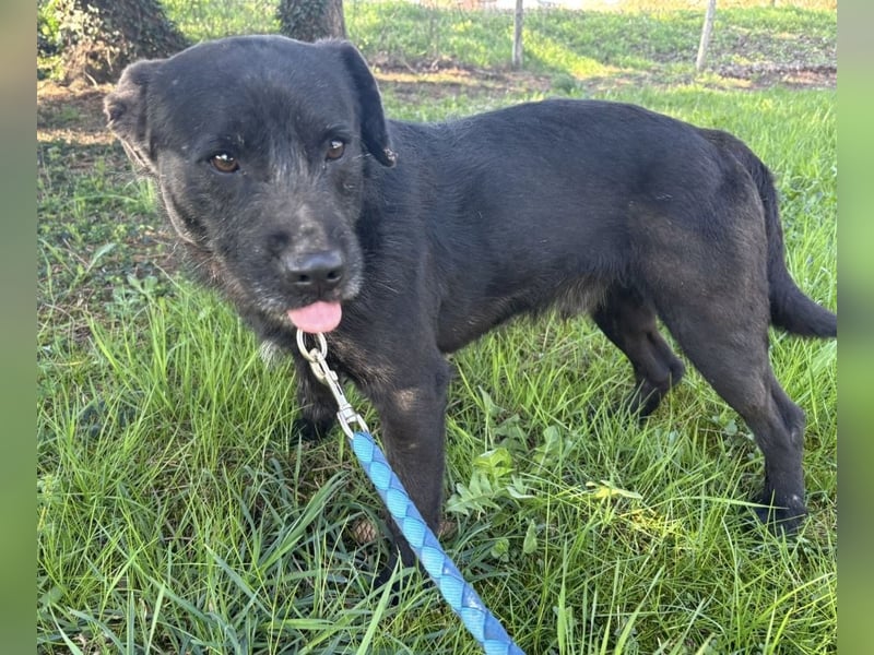 Juri ein sanfter Schatz