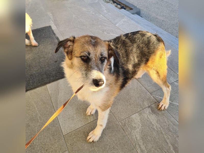 Newe die Menschenliebende