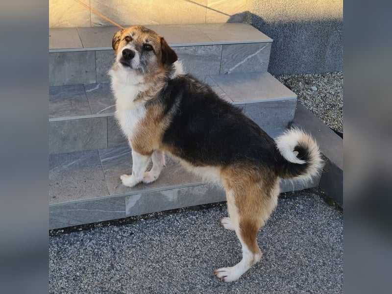 Newe die Menschenliebende