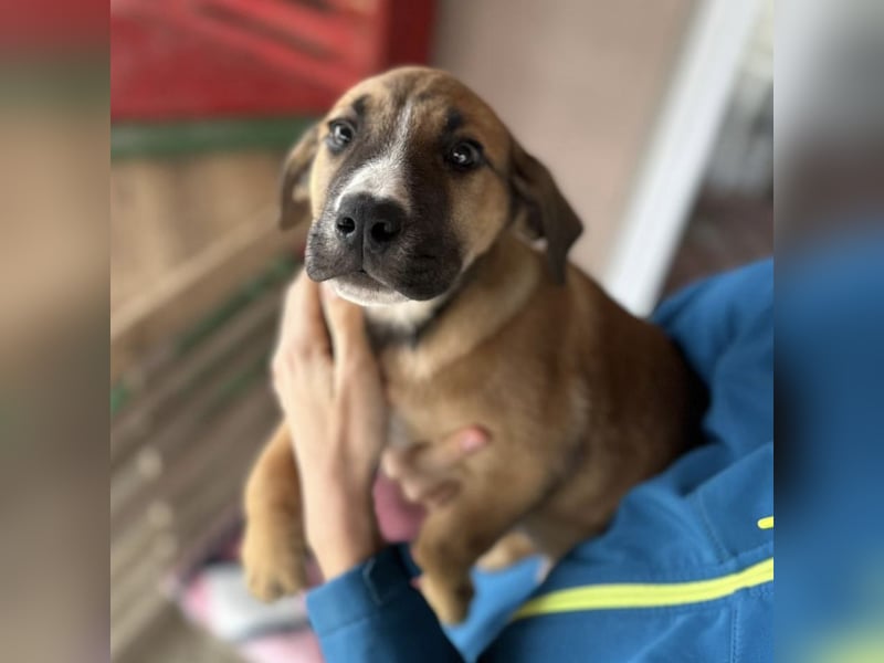 Nico ein kleiner Schatz