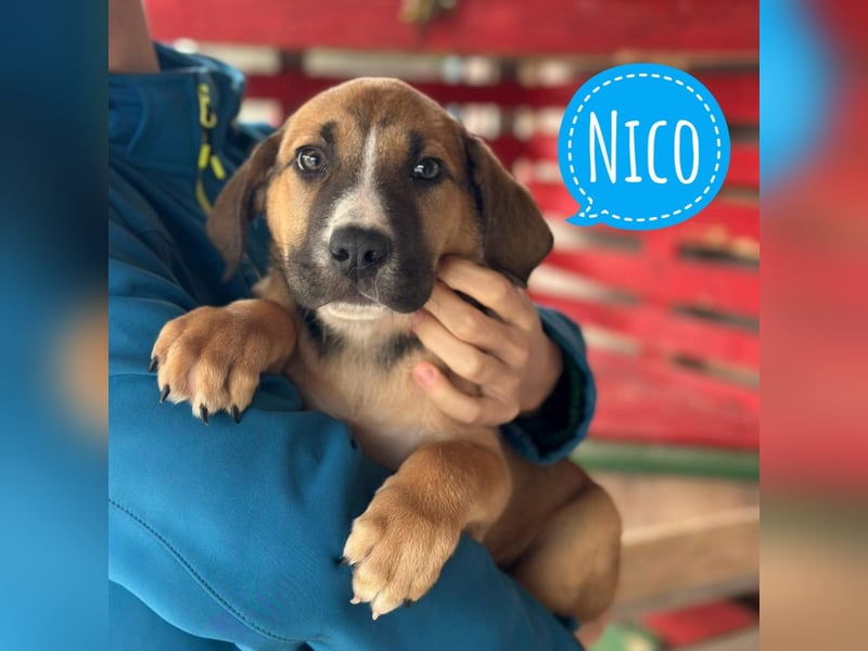 Nico ein kleiner Schatz