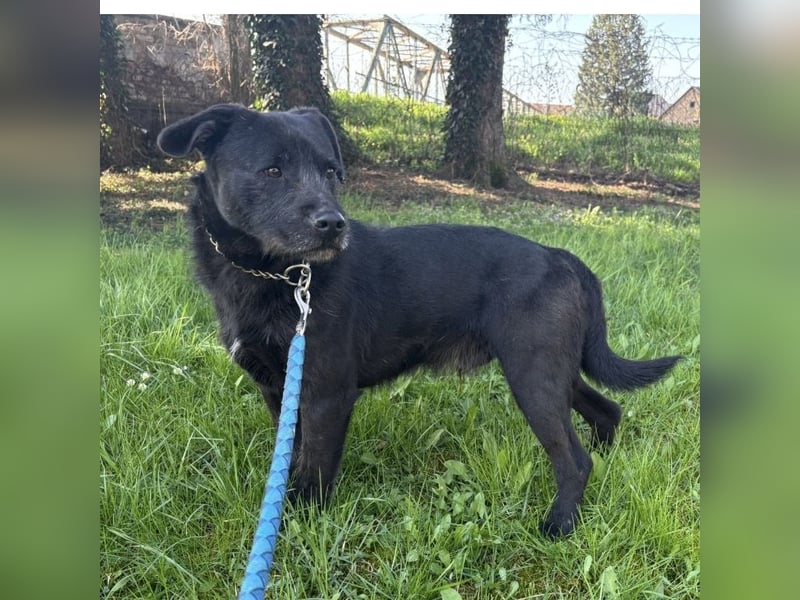 Juri ein sanfter Schatz