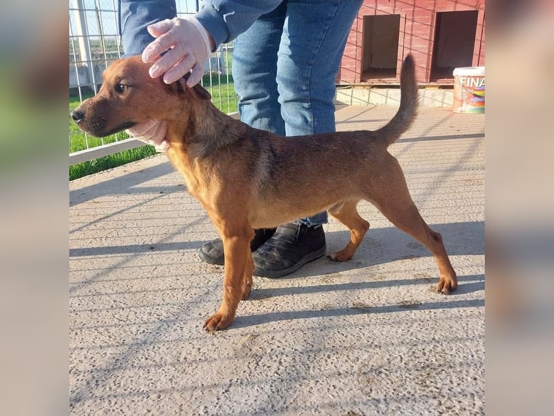 Zurück wartet viel zu lange