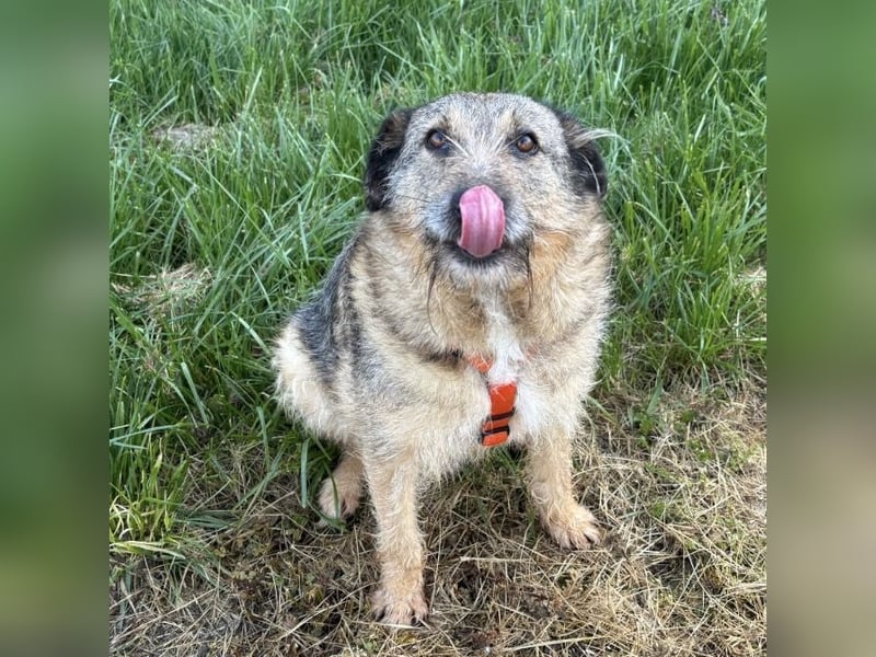 Mars der allerliebste