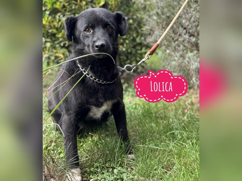 Lolica ein Engel auf Erden