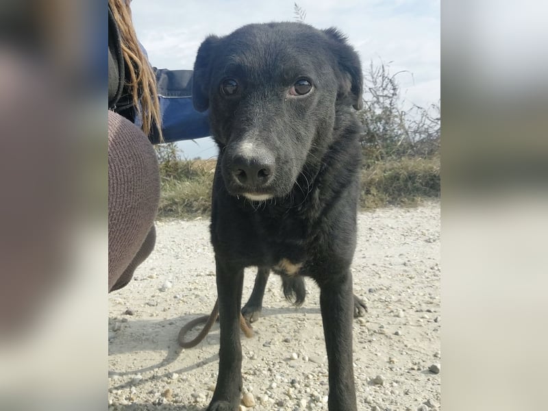 Sofia ein Engel mit gebrochenen Flügeln