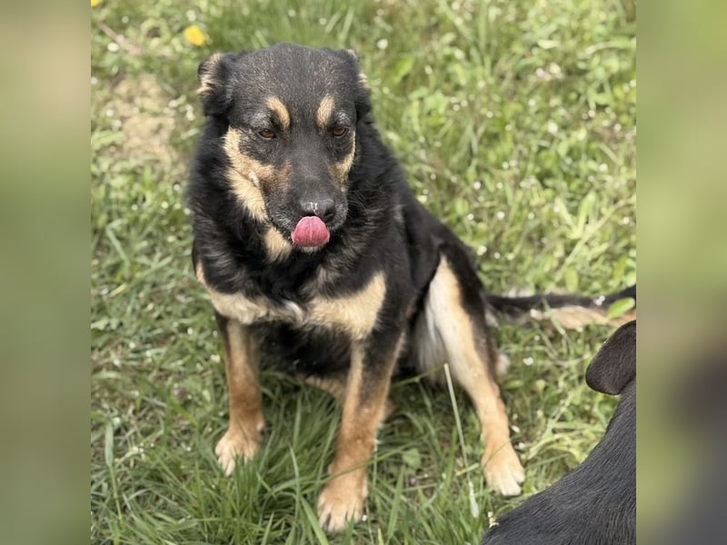 Letty ein freundliches Mädchen